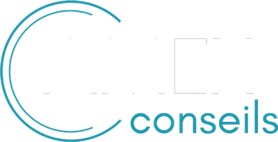 Amex Conseil